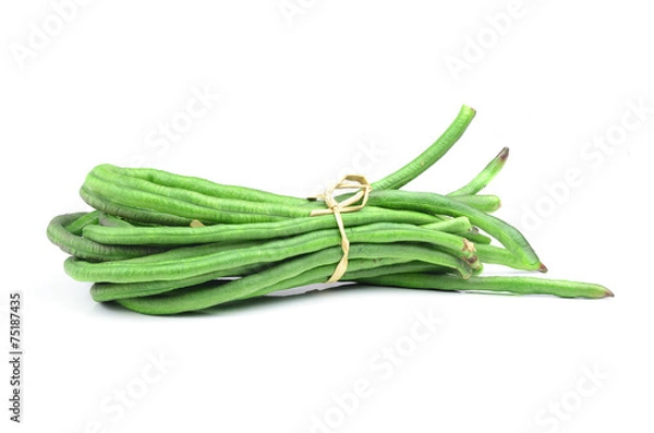 Fototapeta Yard Long bean