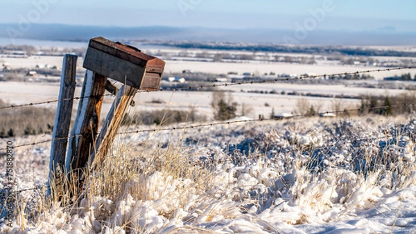 Fototapeta Tool style mailbox on a fence post in the country