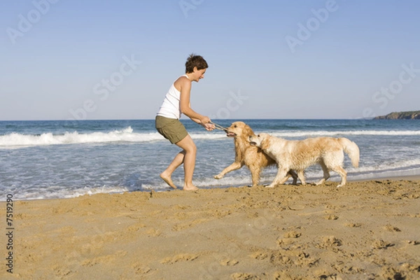 Fototapeta Yong girl playing with her dogs