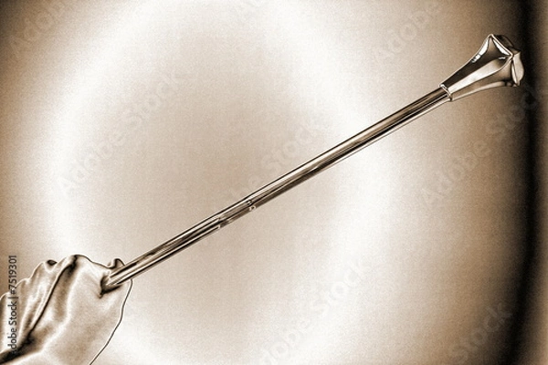 Obraz Baton twirling