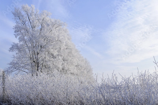 Obraz Мороз в хрустальные наряды