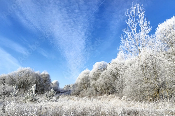 Obraz Под небом светло голубым