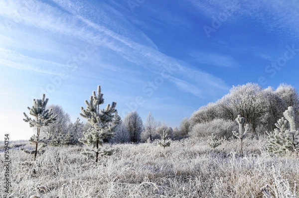 Obraz Полянка в тишине морозной