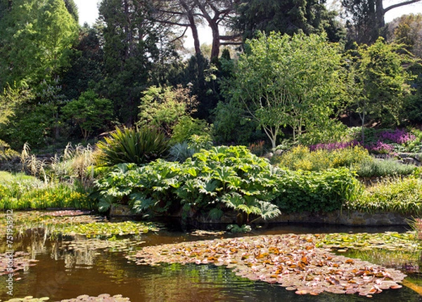 Fototapeta Royal Tasmanian Botanical Gardens panorama