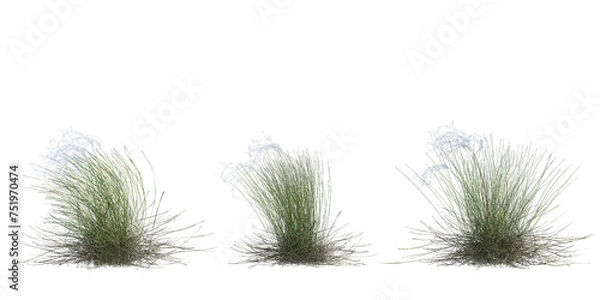Fototapeta 3d Render Brush Tree Isolated  on white
