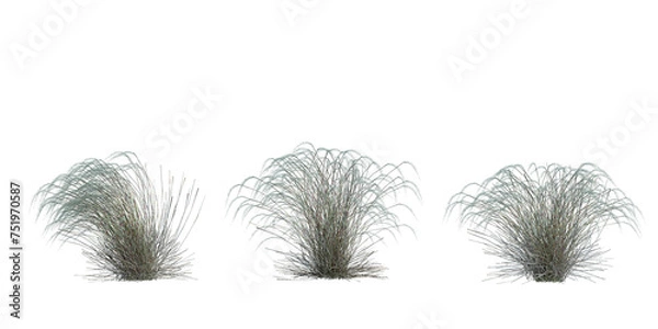Fototapeta 3d Render Brush Tree Isolated  on white