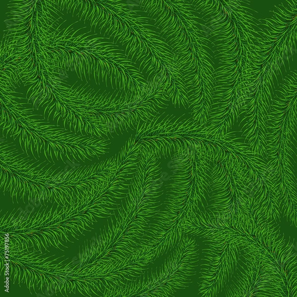 Fototapeta Background of green prickly branches of a Christmas tree