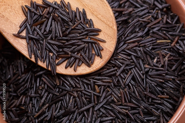 Obraz wild rice