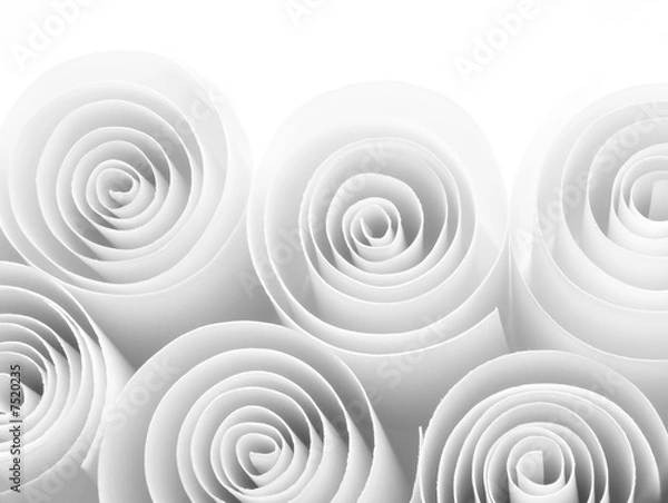 Obraz White paper rolls
