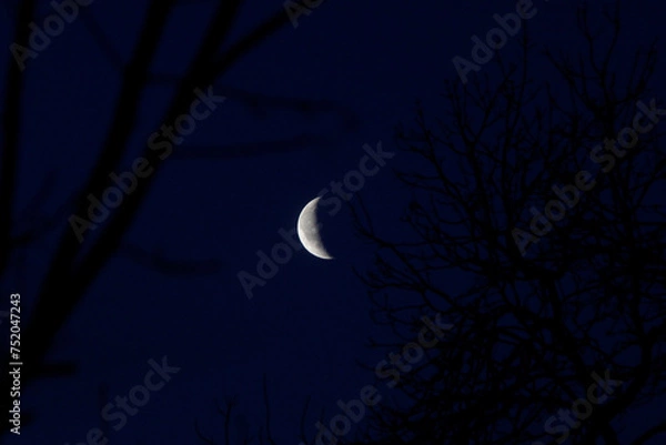 Fototapeta Levé de lune
