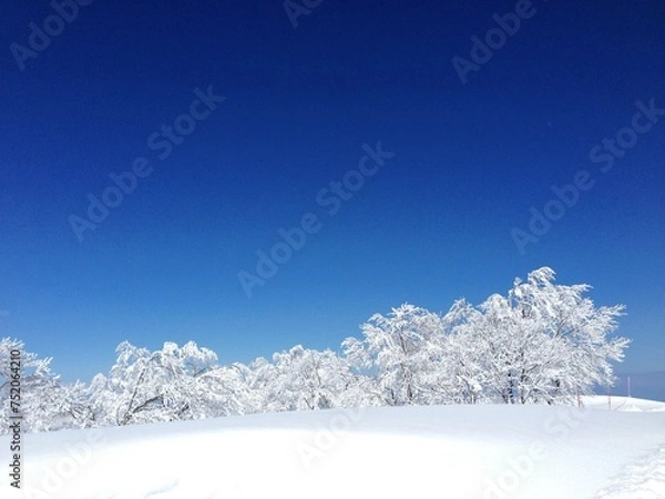 Obraz 野沢温泉スキー場・雪山の景色