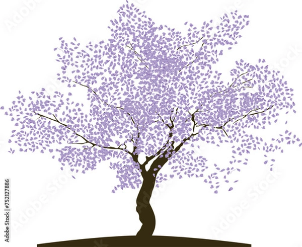 Obraz Ilustración vectorial de Árbol Jacaranda 