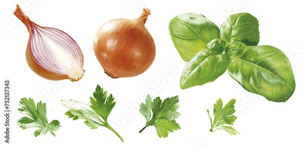 Obraz Küchen kräuter