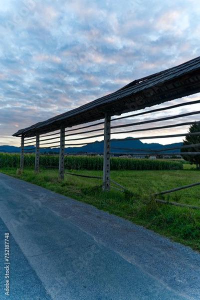 Fototapeta Hayrack at farmland between villages of Zabnica and Sutna with corn field and houses in the background on a blue cloudy summer evening. Photo taken August 10th, 2023, Zabnica, Kranj, Slovenia.