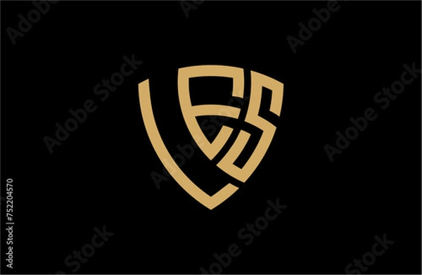 Obraz LES creative letter shield logo design vector icon illustration
