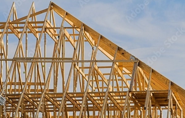 Obraz house being built