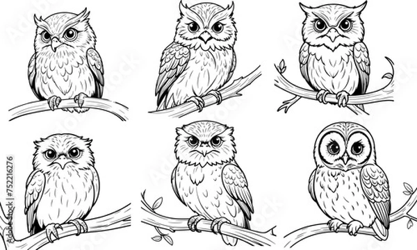Fototapeta Owl hand drawn coloring page and outline vector design