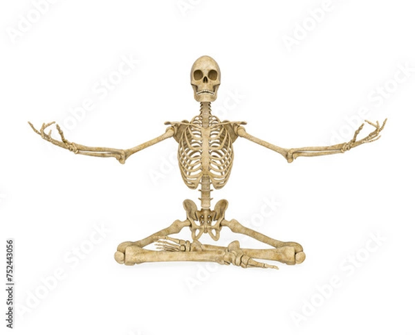 Obraz structural skeleton is doing yoga