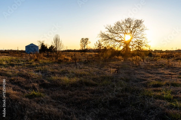Obraz sunset over the field