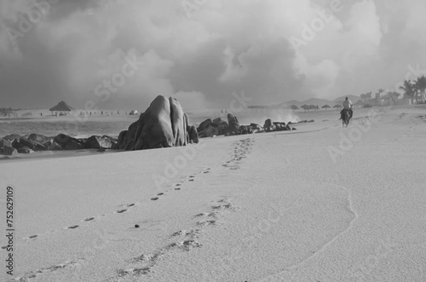 Obraz Los Cabos Beach Scene Landscape