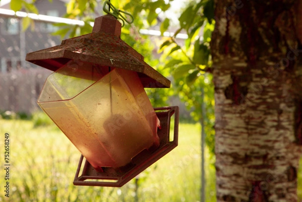 Obraz Rusted bird feeder