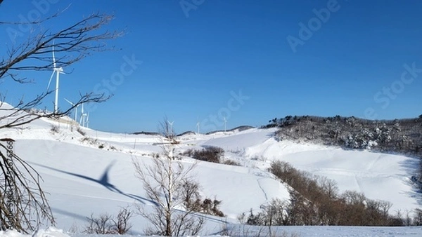 Obraz beautiful scenery and trees in the winter mountains
