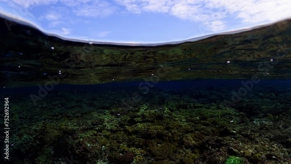 Fototapeta 魚眼で写した空とサンゴ礁の海