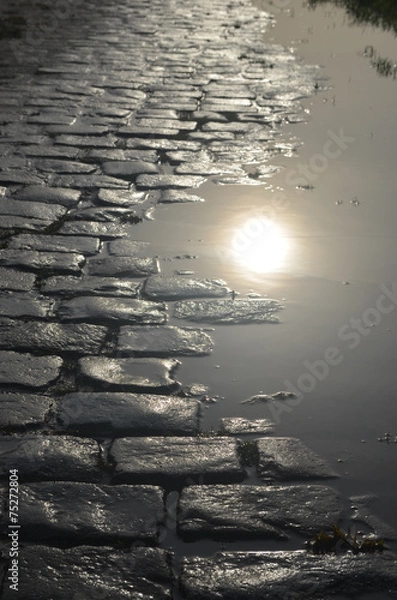 Obraz cobblestone street and puddle