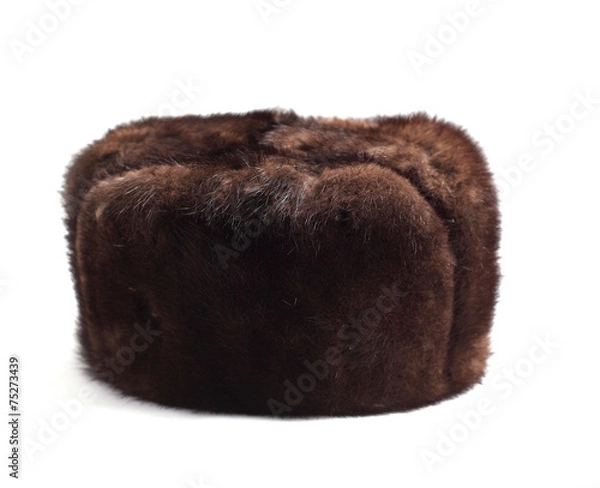 Fototapeta Fur hat