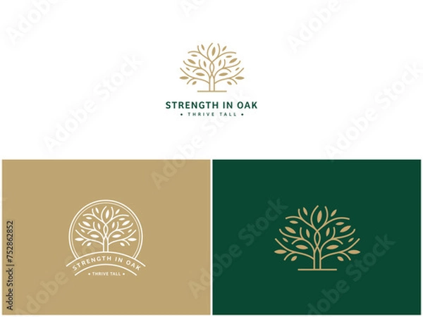 Obraz Professional Oak Tree Logo Design