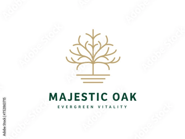 Obraz Professional Oak Tree Logo Design