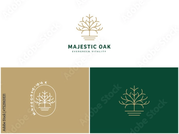 Obraz Professional Oak Tree Logo Design