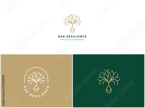 Obraz Professional Oak Tree Logo Design