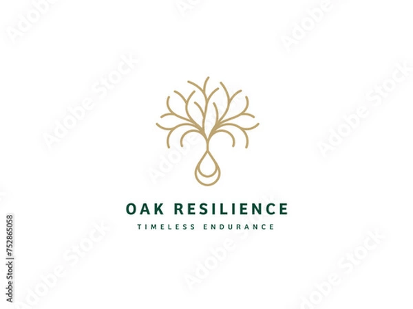 Obraz Professional Oak Tree Logo Design
