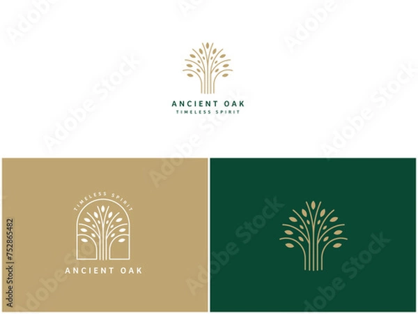 Obraz Professional Oak Tree Logo Design