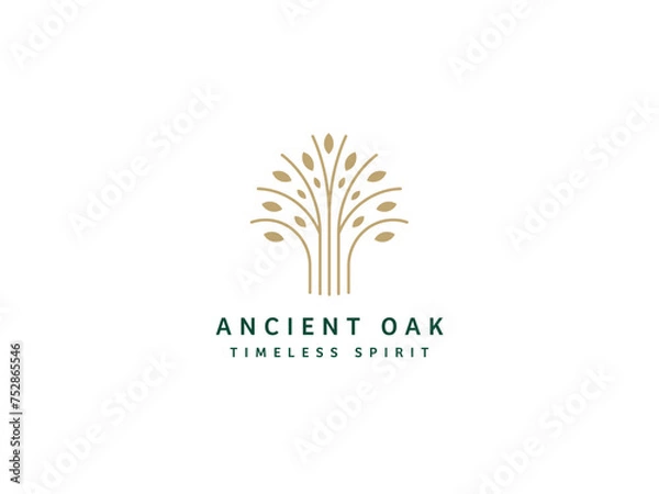 Obraz Professional Oak Tree Logo Design