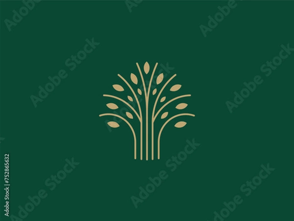 Obraz Professional Oak Tree Logo Design