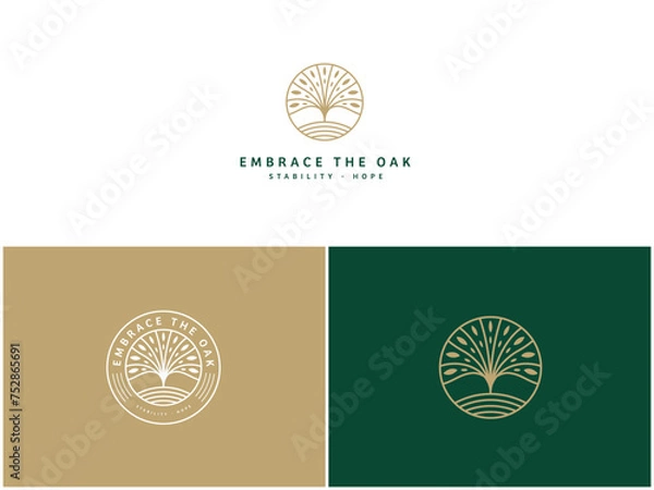 Obraz Professional Oak Tree Logo Design