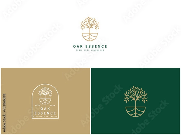 Obraz Professional Oak Tree Logo Design