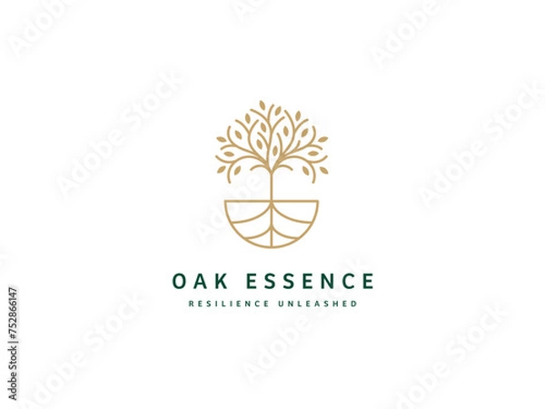 Obraz Professional Oak Tree Logo Design