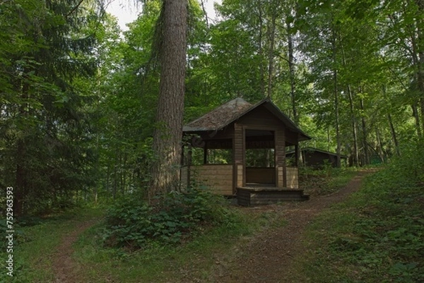 Obraz Old wooden abandoned gazebo in forest in summer.