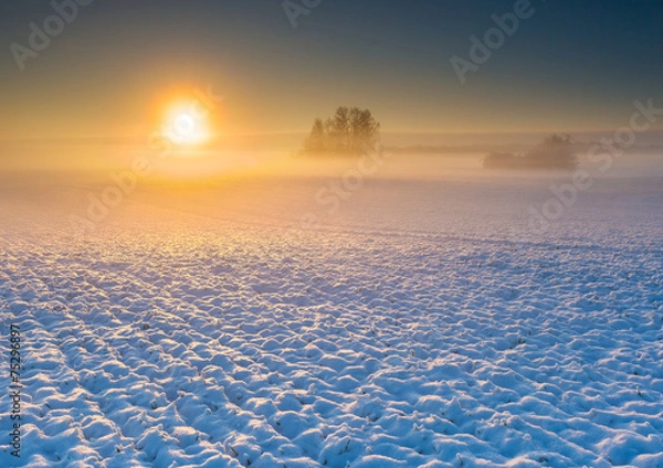 Obraz winter field at sunrise