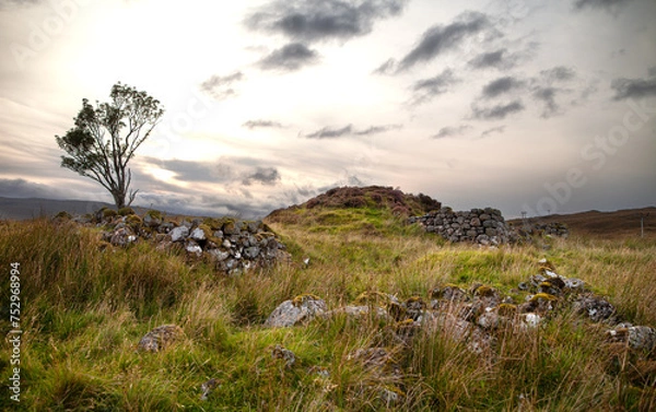 Obraz Scottish highlands