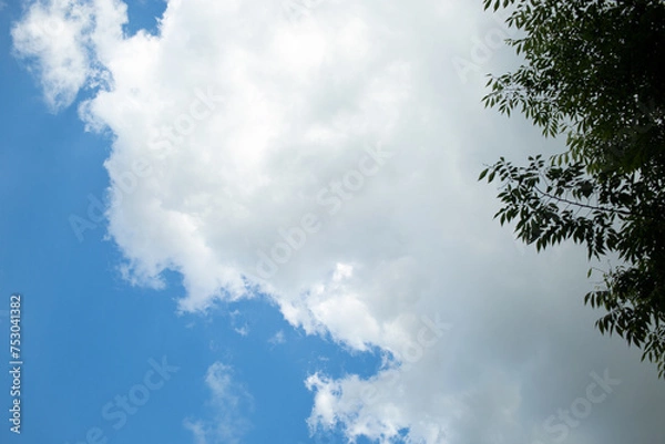 Obraz blue sky with clouds