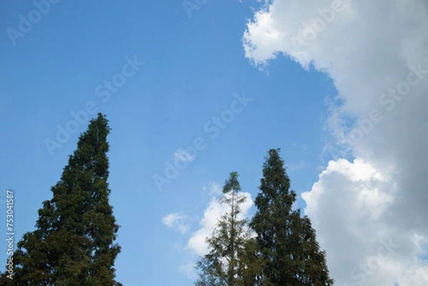 Obraz blue sky with clouds