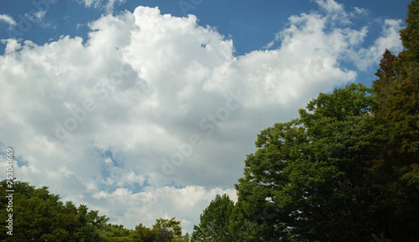 Obraz blue sky with clouds