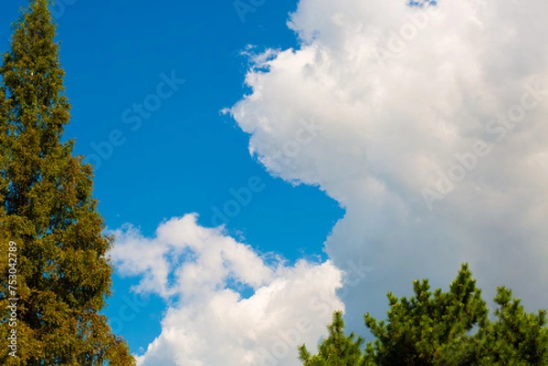Obraz blue sky with clouds