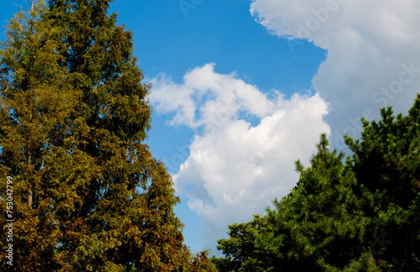 Obraz blue sky with clouds