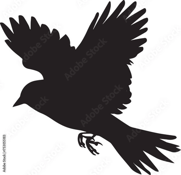 Obraz Black silhouette vector of flying bird on white background