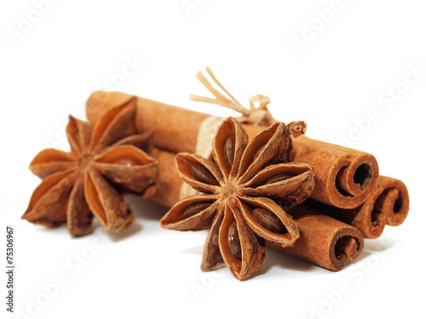 Obraz Cinnamon with anise isolated